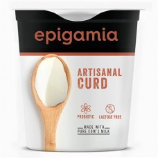 Epigamia Artisanal Curd 400g